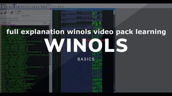 explanation winols video pack learning