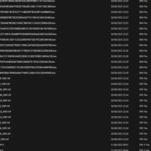 Vag Flash Files 30.08.2025