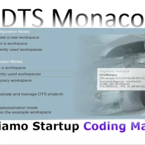 DTS Monaco Vediamo Startup Coding Manual