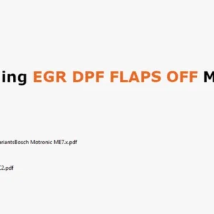 Tunning EGR DPF FLAPS OFF Manual Solution