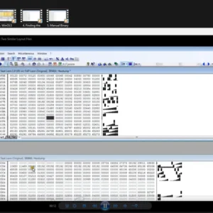 Professional WinOLS Comparison and OLS to BIN Workflow
