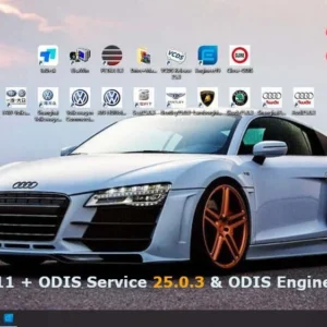 WINDOWS 11 + ODIS Service 25.0.3 & ODIS Engineering 19 2025